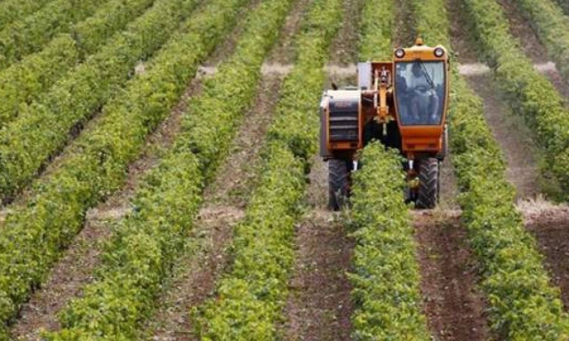 ΕΛΓΑ: Πότε πληρώνει τις αποζημιώσεις 20,3 εκατ. ευρώ