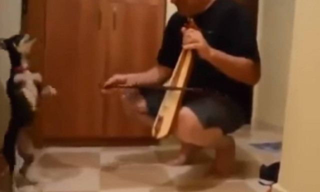 Σκύλος χορεύει… ποντιακά και το χαίρεται! (vid)