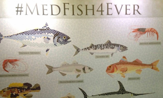 SOS από την ΕΕ για τη Μεσόγειο: Λιγοστεύουν επικίνδυνα τα ψάρια