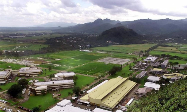 Πράσινη επανάσταση στην τροφή που θρέφει το ήμισυ της ανθρωπότητας