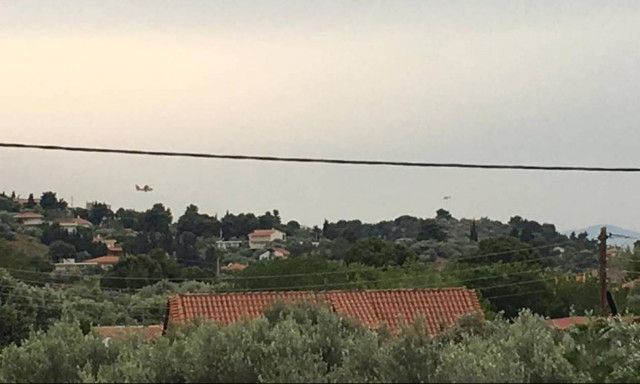 Σε ύφεση η φωτιά στον Ωρωπό (photos)