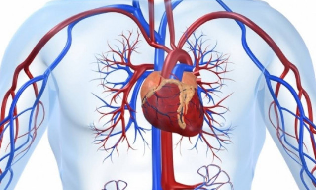 Στένωση αορτικής βαλβίδας: Τα τρία βασικά «καμπανάκια»