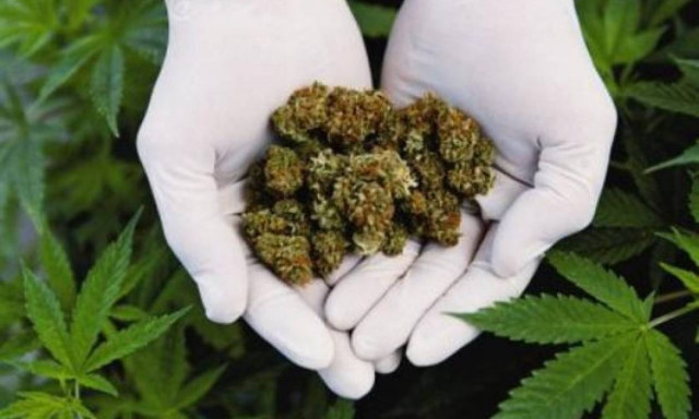 Το Βερολίνο δίνει το «πράσινο φως» για την χρήση κάνναβης για ιατρικούς λόγους