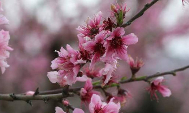 Καιρός: Δείτε που θα φτάσει ο υδράργυρος τις επόμενες ημέρες