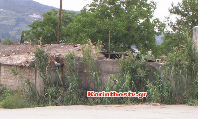 Συγκλονιστικές αποκαλύψεις για τον 3χρονο που βρέθηκε δεμένος στη Νεμέα (video)