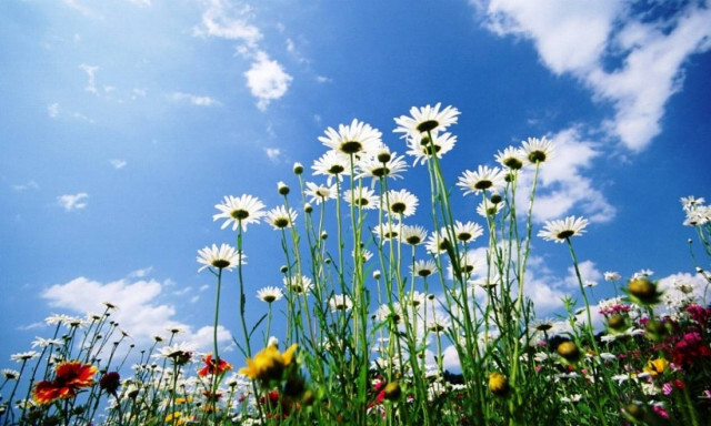 Καιρός: Και από Τρίτη… καλοκαίρι - Δείτε πού θα φτάσει ο υδράργυρος