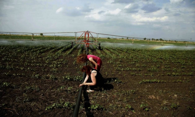 Νέοι αγρότες: Ενημέρωση για το πρόγραμμα Αγροτικής Ανάπτυξης 2014 – 2020