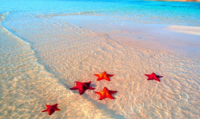 ΑΤΜ παγωτού στην Ελλάδα: Πού και πότε θα λειτουργήσουν