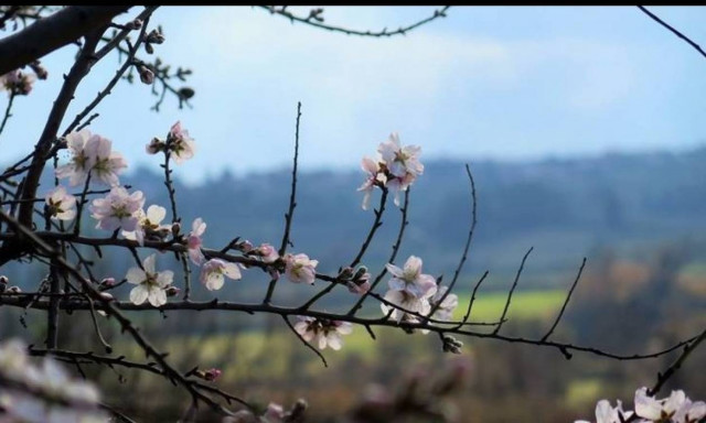 Καιρός: Ανεβαίνει η θερμοκρασία την Πέμπτη (19/5) - Αναλυτική πρόγνωση