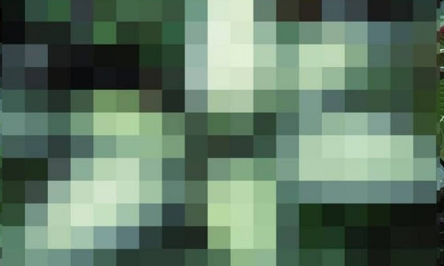 Προσοχή! Αν έχετε αυτό το φυτό σπίτι, πρέπει να το πετάξετε αμέσως! (photo)