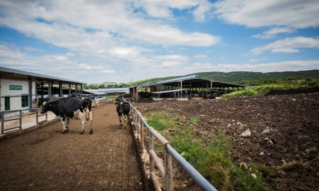 Ό,τι αξίζει, φαίνεται στα γαλακτοκομικά προϊόντα