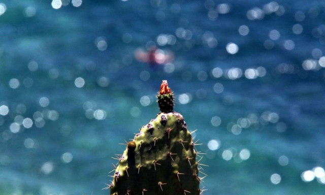 Καιρός για μίνι καύσωνα – Σε ποιες περιοχές ο υδράργυρος θα ξεπεράσει τους 35 βαθμούς