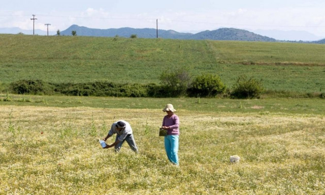 Το «έκτρωμα» Κατρούγκαλου γονατίζει και τους αγρότες παρά τις υποσχέσεις του