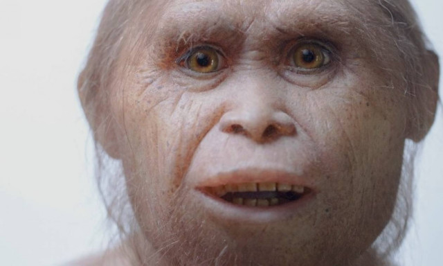 Παλαιοανθρωπολογία: Ανακαλύφθηκαν οι πρόγονοι των «Χόμπιτ» (Vid)