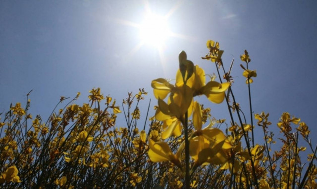 Weather Forecast: Mostly fair on Saturday (11/06/2016)