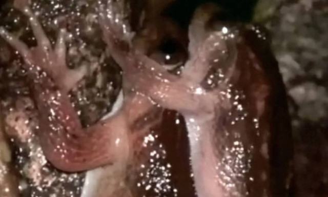 Ανακαλύφθηκε νέα στάση στο σεξ που κάνει πάταγο στους... (video+photo)