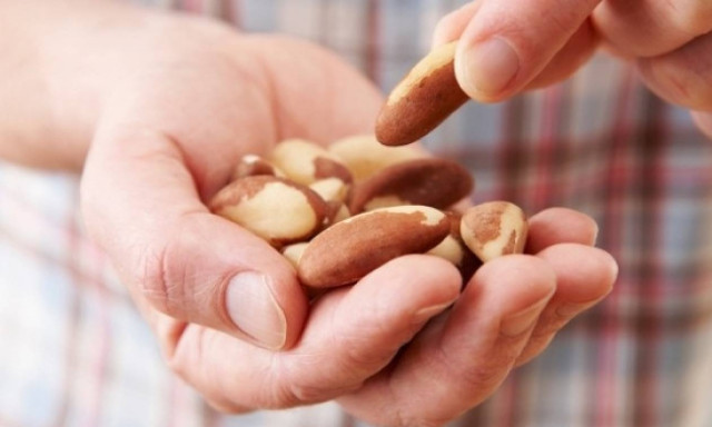 Καρκίνος προστάτη: Σε ποια ποσότητα μειώνουν τον κίνδυνο θανάτου οι ξηροί καρποί