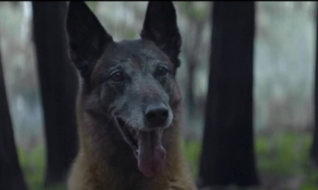 Συγκινητικό! Αυτός δε θα σε εγκατέλειπε ποτέ! (video)