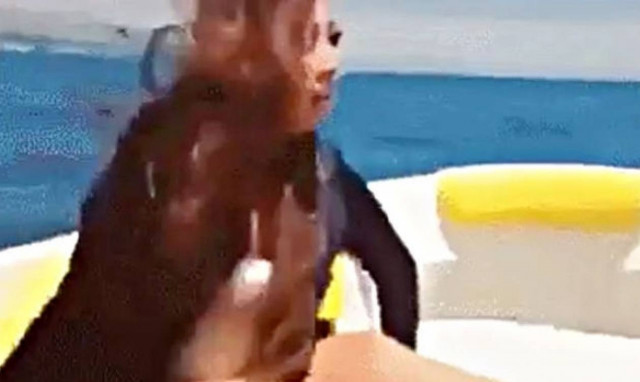 Πανικός στο διαδίκτυο: Γυναίκα εξαφανίζεται στον αέρα μπροστά στην κάμερα! (video)