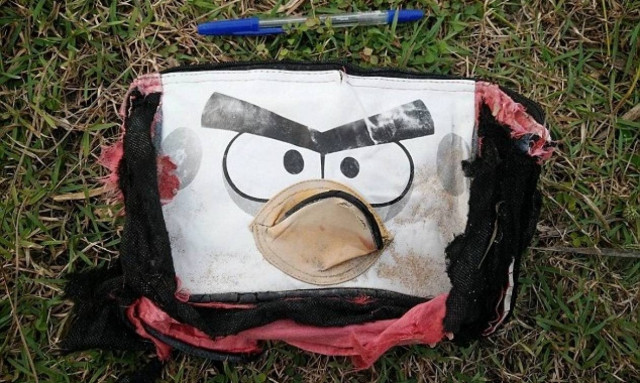 Βρέθηκαν αποσκευές από το χαμένο Boeing της Malaysia Airlines;