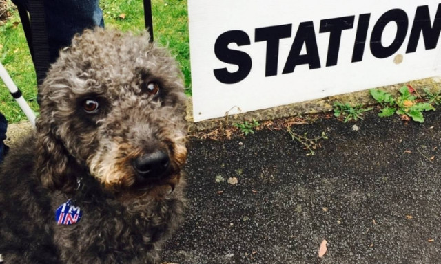 Τα...τρελά και απίθανα του δημοψηφίσματος στη Βρετανία