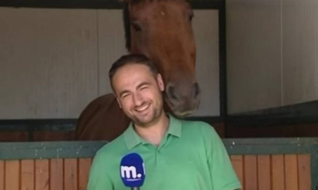 Άλογο… ερωτεύεται Έλληνα δημοσιογράφο και «τρελαίνει» το ίντερνετ! (video)