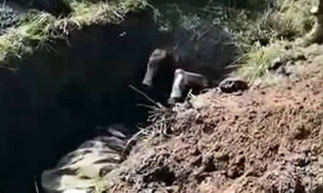 Βίντεο – σοκ: Ουκρανοί θάβουν ζωντανό Ρώσο αυτονομιστή