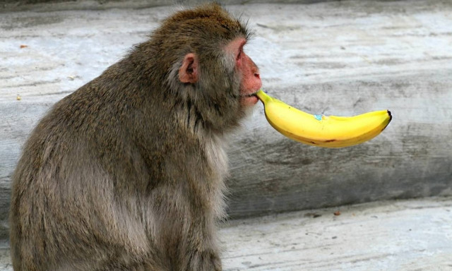 ΣΟΚ! Έτσι μας χειραγωγούν όλη μας τη ζωή (vid)