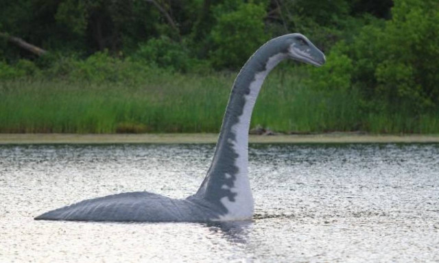 Η φωτογραφία που προκάλεσε πανικό: Είναι αυτό το τέρας του Λοχ Νες νεκρό; (photo)