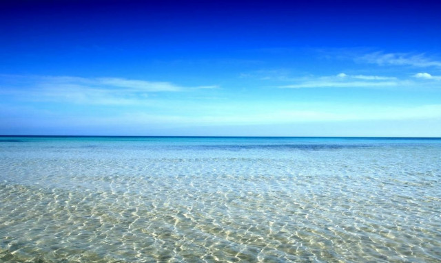 Το βίντεο που πρέπει να δουν όλοι – Κανείς δεν μπορούσε να φανταστεί αυτό που συνέβη στη θάλασσα