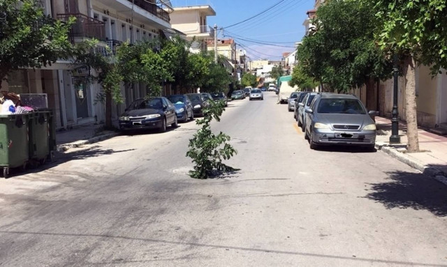 Απίστευτη καινοτομία! Φύτεψαν δέντρο σε λακούβα για να την βλέπουν τα αυτοκίνητα (pics)