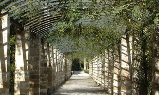 Πέντε κρυφά καφέ - κήποι Μουσείων στην Αθήνα