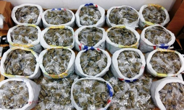 Έτσι δρούσε η μαφία των Εξαρχείων: Τι βρήκε η ΕΛ.ΑΣ. στα κρυσφήγετα (pics)