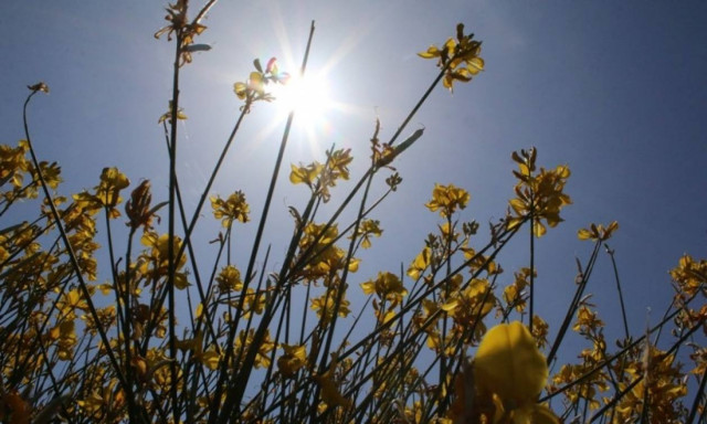 Weather Forecast: Fair on Thursday (14/07/2016)