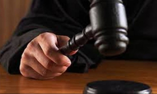 Δύο χρόνια φυλακή και πρόστιμο, επειδή σκότωσε τη γάτα της γειτόνισσας