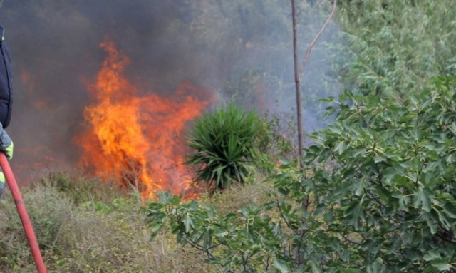 Πυρκαγιά στην Αλβανία απειλεί μειονοτικά χωριά - Ζητούν βοήθεια από την Ελλάδα