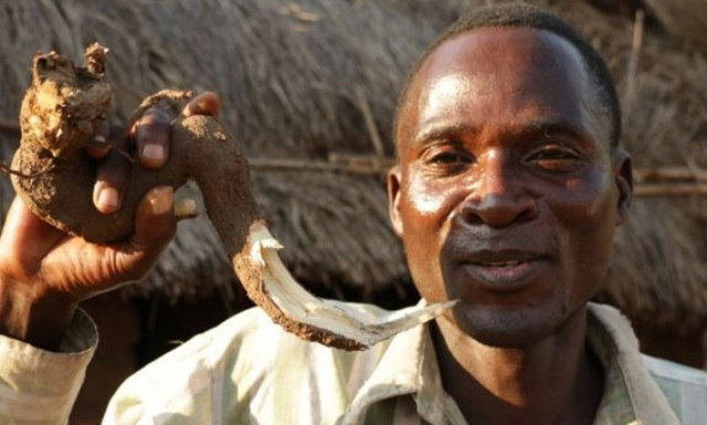 Η απόλυτη φρίκη: «Ύαινα» με AIDS πληρώνεται για να βιάζει κοριτσάκια επί τρεις ημέρες! (video)