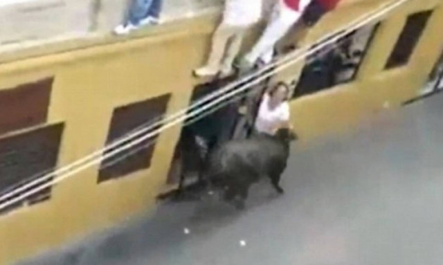 ΠΡΟΣΟΧΗ ΣΚΛΗΡΕΣ ΕΙΚΟΝΕΣ: Ταύρος σκοτώνει γυναίκα μπροστά στον άντρα και το παιδί της