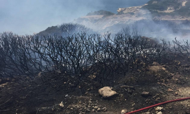 Έσβησε η φωτιά στη Γλυφάδα (vid + pics)