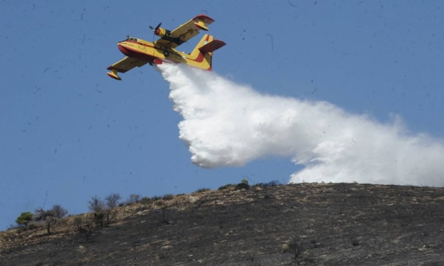 Φωτιά στον Μαραθώνα