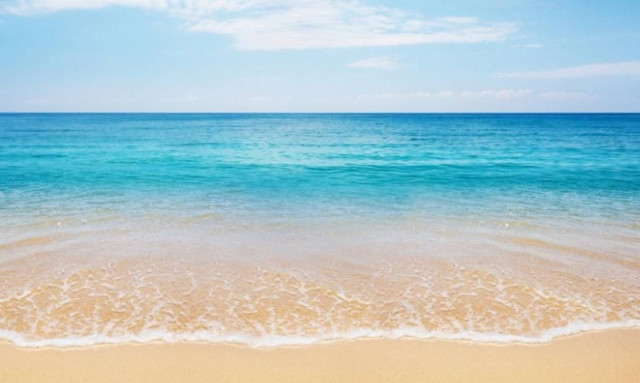 Κρήτη: Και ξαφνικά όλοι «πάγωσαν» στην παραλία – Κανείς δεν πίστευε αυτό που έβλεπε