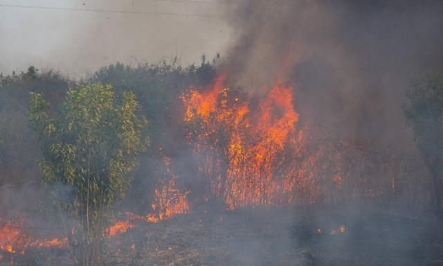 Φωτιά μαίνεται στη Δράμα