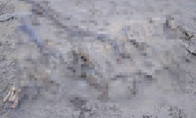 Μυστήριο! Κάτι παράξενο ξεβράστηκε στην παραλία και κανείς δεν μπορεί να καταλάβει τι είναι...