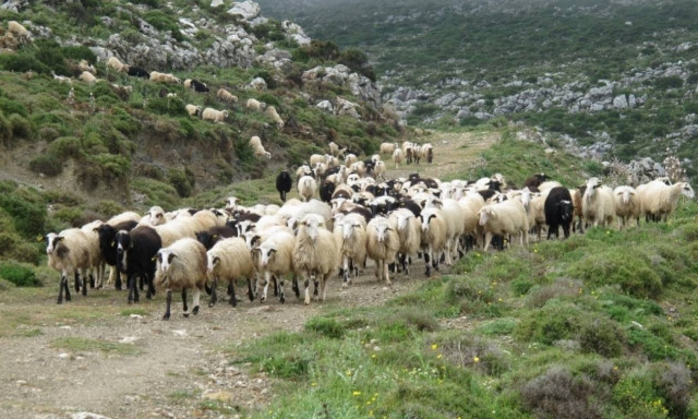 Καταβολή εξισωτικών αποζημιώσεων