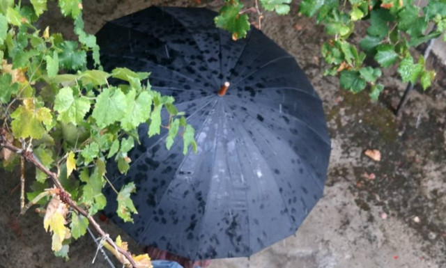 Weather Forecast: Clouds, rain on Tuesday (09/08/2016)