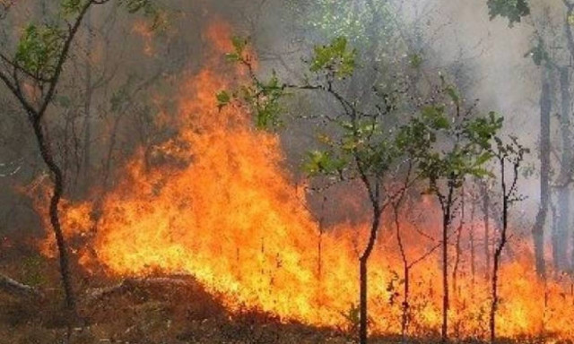 Ανεξέλεγκτη η φωτιά στο Δοξάτο Δράμας
