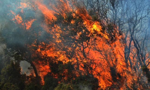 Υπό μερικό έλεγχο η φωτιά στο Δοξάτο Δράμας
