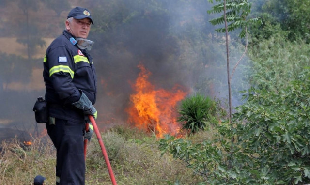 Πυρκαγιά καίει δασική έκταση στην Πρόσυμνα Άργους