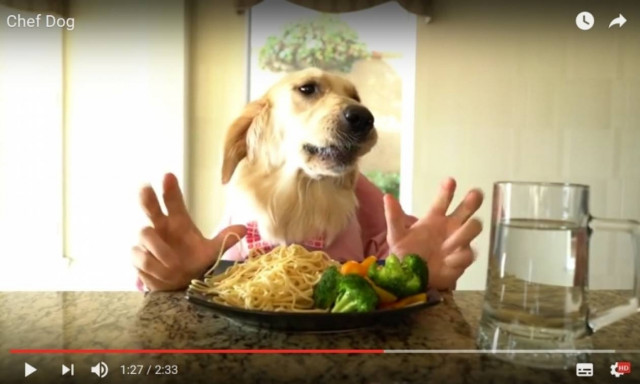 Viral: Είναι αυτό ένα από τα πιο παράξενα βίντεο που έχετε δει ποτέ;