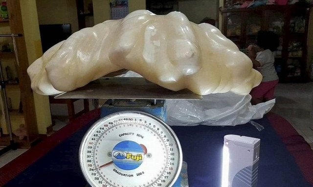 Ψαράς έκρυβε στο στρώμα 88,5 εκατ. ευρώ χωρίς να το ξέρει! (video)